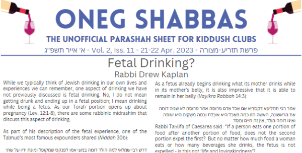 Oneg Shabbas Parashah Sheet for Tazria-Metzora[21-22 April 2023]